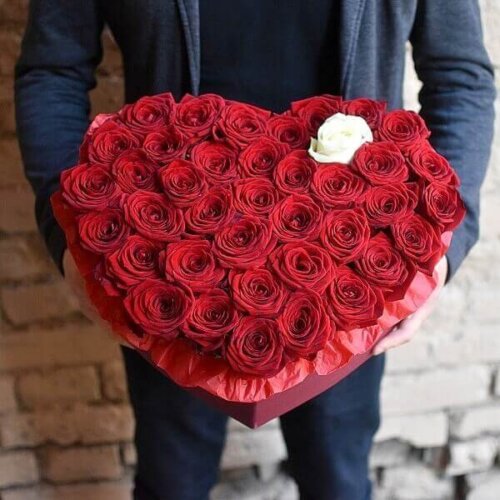 Rožės širdelės formos gėlės dėžutėse