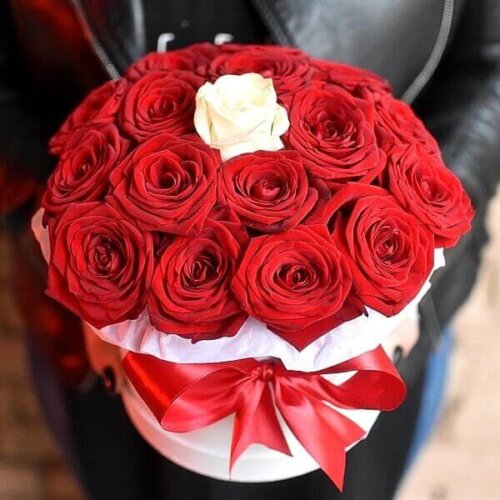 geliu-dezutes-viena-balta-roze