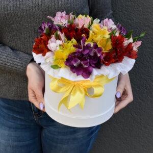 Spalvingųjų alstromerijų dėžutė gimtadienio gėlės