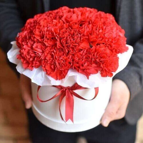 Single color carnation flowers in boxes
