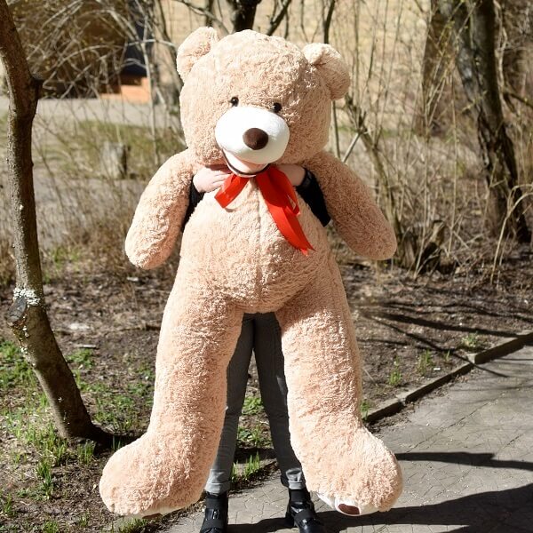 Teddy bear 160cm deals