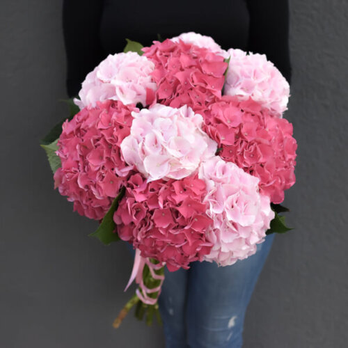 Two-colored bouquet of hydrangeas